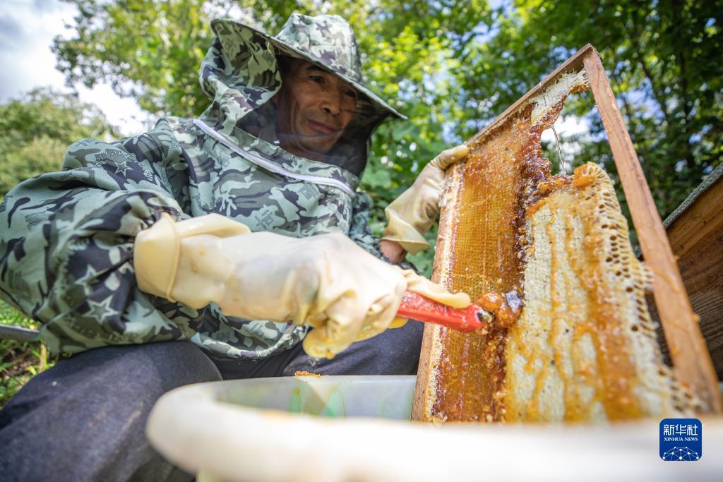 澳亚国际糖果派对